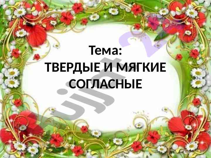 Твердые и мягкие согласные в русском языке