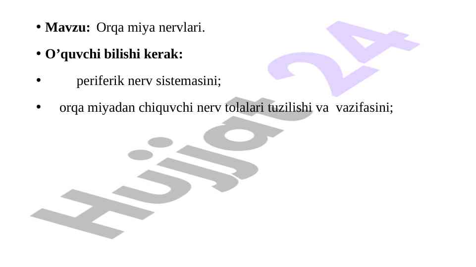 Orqa miya nervlari haqida asosiy ma'lumotlar