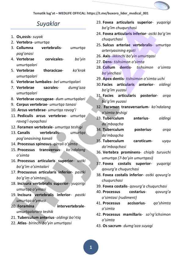 Tematik lug’at suyaklar va umurtqalar