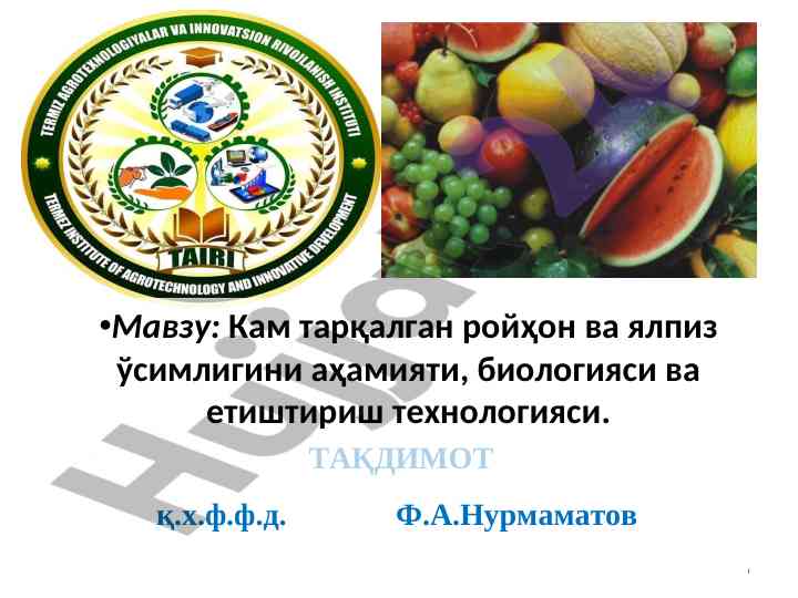 Кам тарақлган ройҳон ҳамда ялпиз ўсимлиги технологияси
