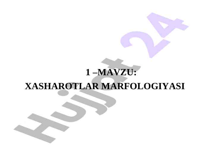 Hasharotlar morfologiyasi bosh tuzilishi