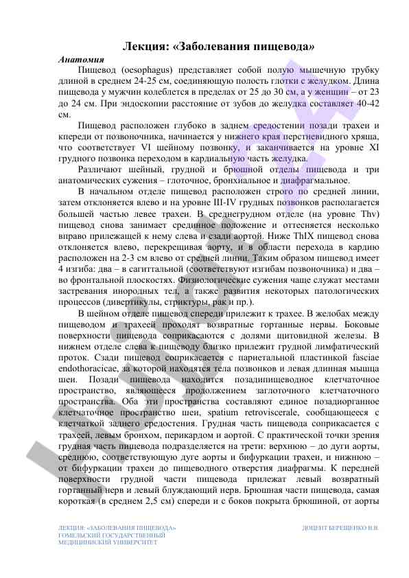 Заболевания пищевода анатомия и структура