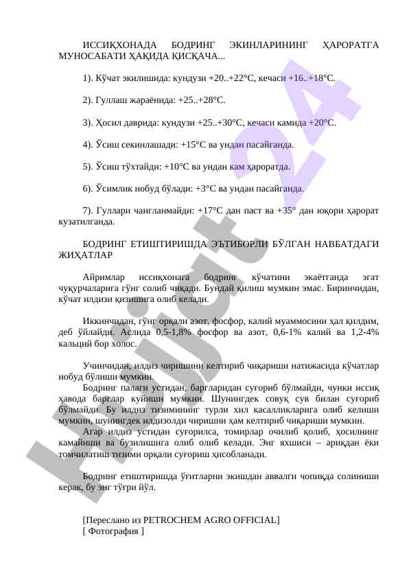 Issiqxonada bodring ekinlarining haroratga munosabati