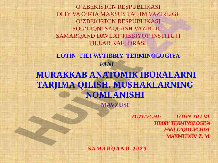 Murakkab anatomik iboralarning tarjimasi