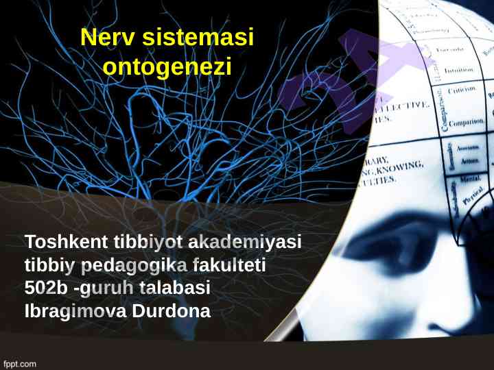 Nerv sistemasi ontogenezi haqida ma'lumotlar