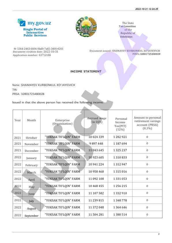 Income statement overview for yukask tolqin farm