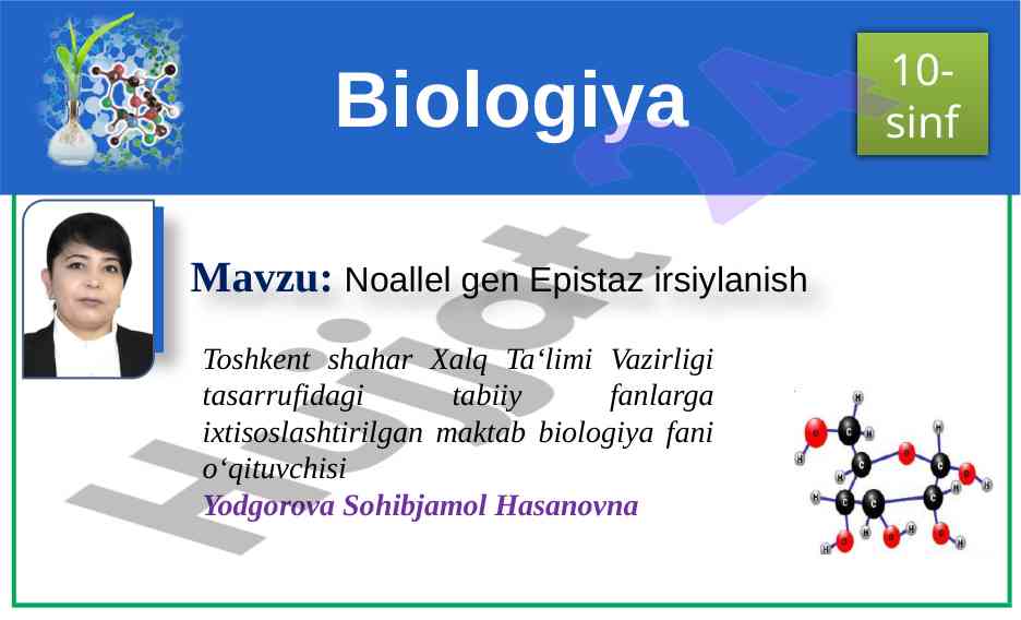 Noallel gen epistaz irsiylanish mavzusi