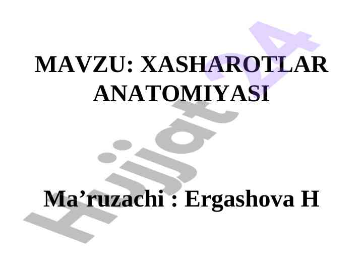 Hasharotlar anatomiyasi tahlili va teri qoplamasi