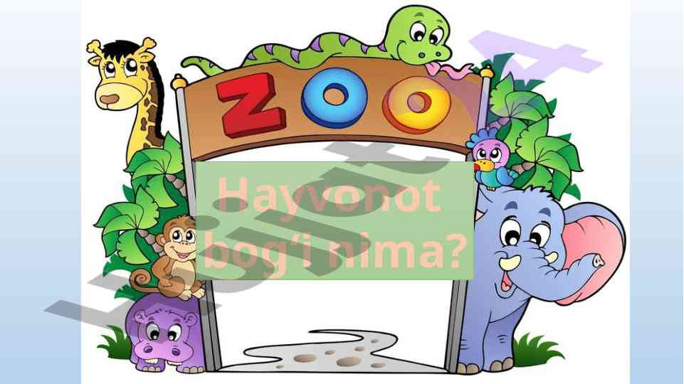 Hayvonot bog‘i nima? jonli muzey haqida ma'lumotlar