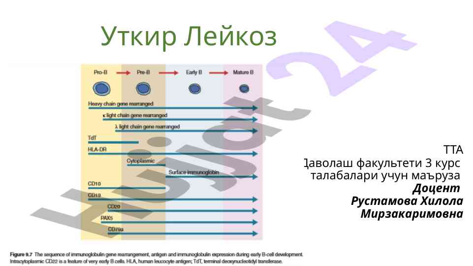Уткир лейкоз маъруза рустамова хилола