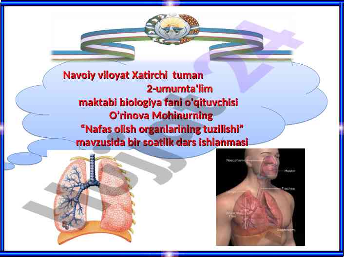 Nafas olish organlarining tuzilishi dars ishlanmasi