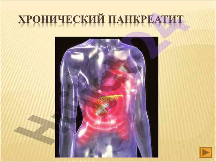 Тесты исходного уровня клиническая анатомия пж