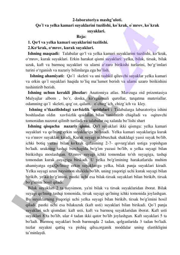 Qo'l va yelka kamari suyaklari tuzilishi