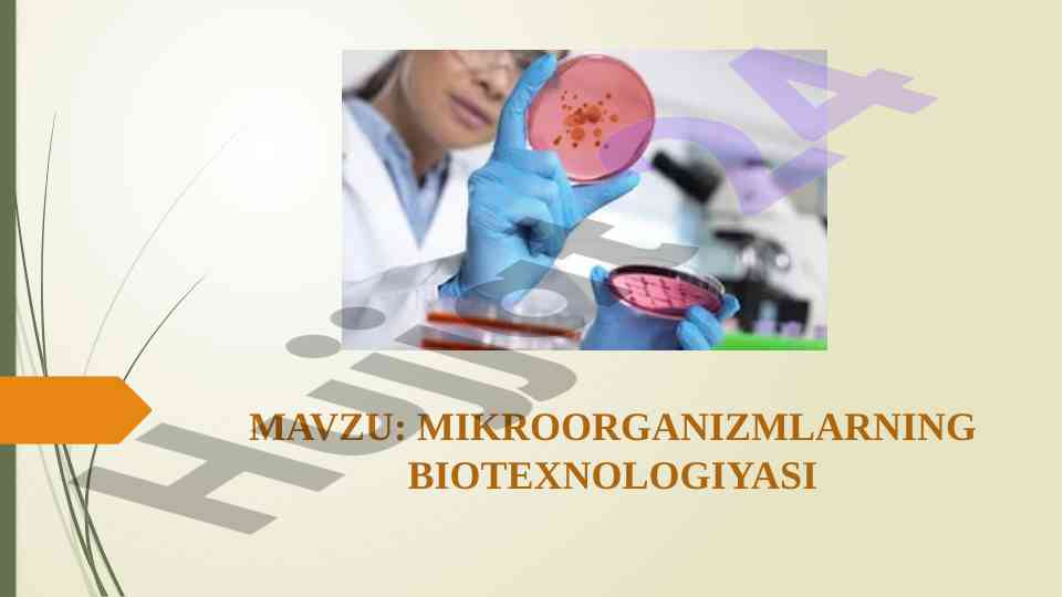 Mikroorganizmlarning biotexnologiyadagi roli