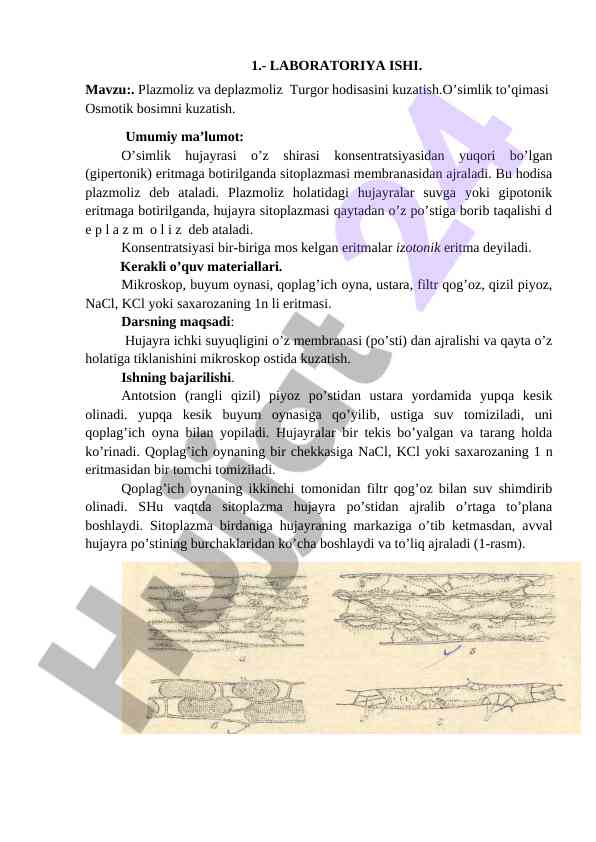 Plazmoliz va deplazmoliz turgor hodisasini kuzatish