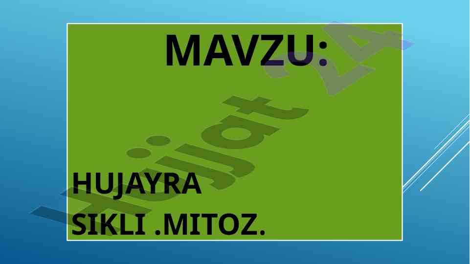 Hujayra sikli va mitoz jarayoni haqida ma’lumot