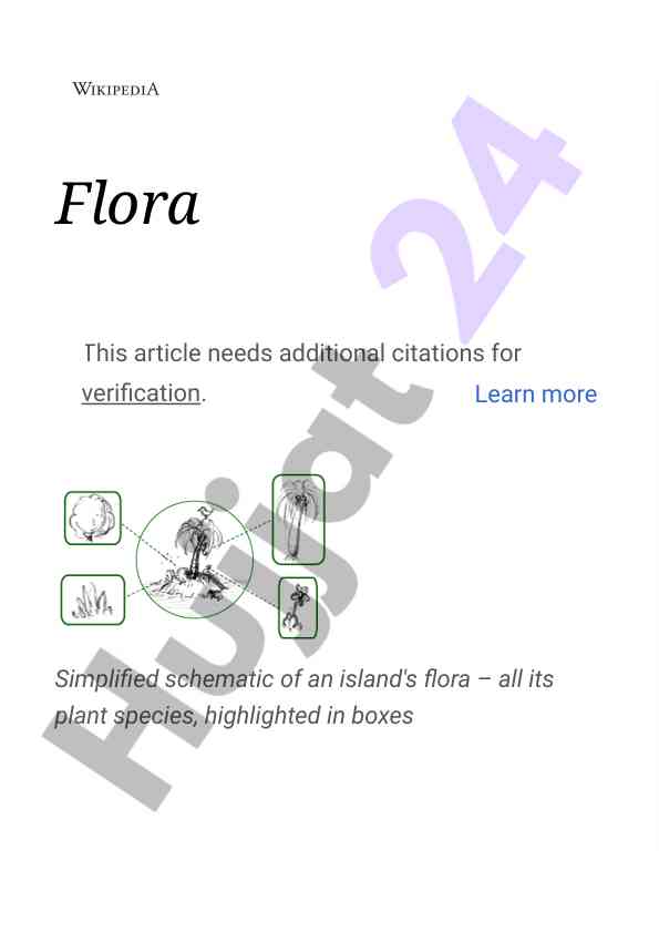 Overview of flora in different ecosystems