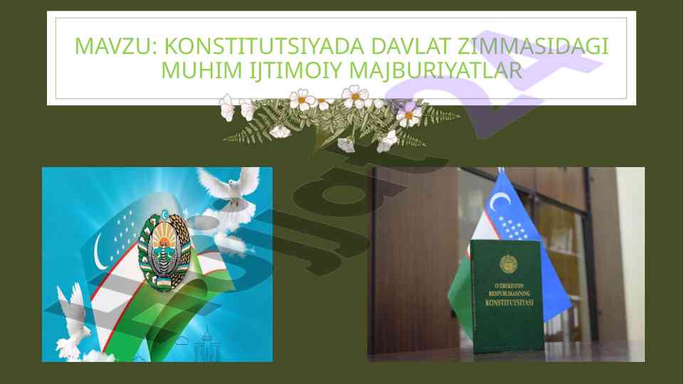 Konstitutsiyada davlat zimmasidagi ijtimoiy majburiyatlar