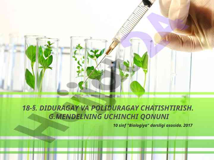 Diduragay va poliduragay chatishtirish asoslari