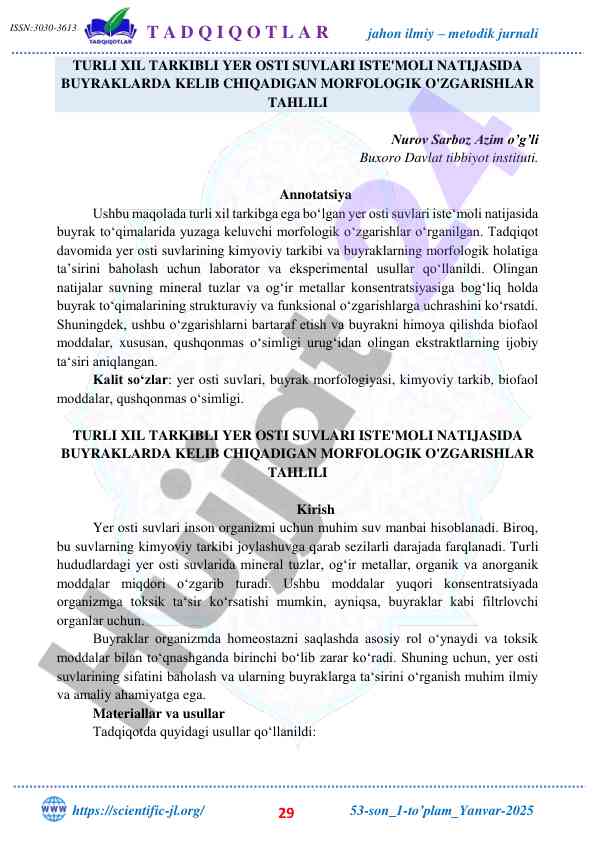Yer osti suvlari iste'moli va buyraklarda morfologik o'zgarishlar