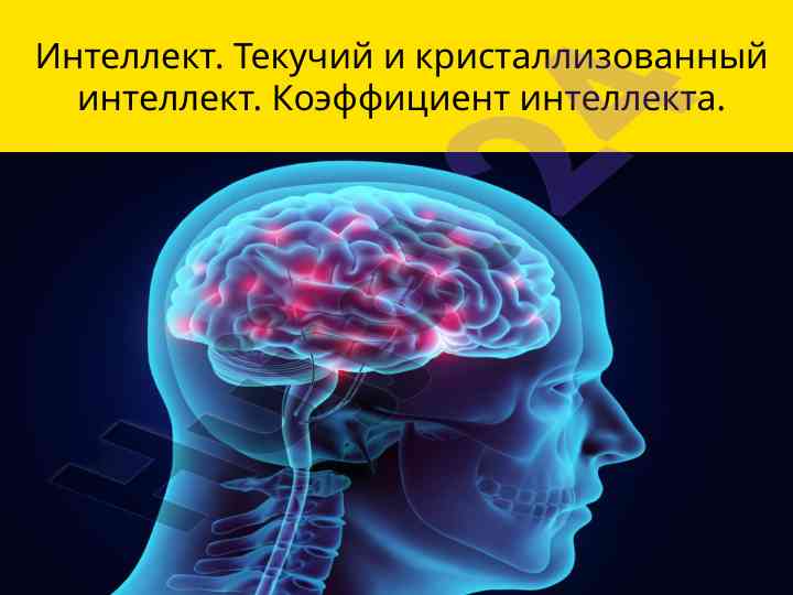 Intellekt va uning turlari: tezkor va kristallashgan