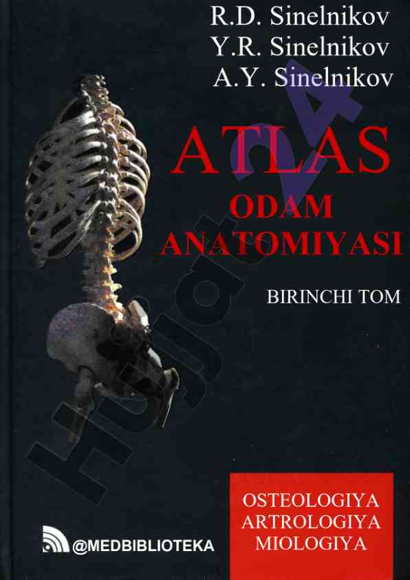 Atlas odam anatomiyasi qisqartmalari va tuzilishi