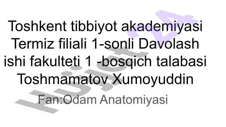 Elka kamari va elka mushaklari tahlili