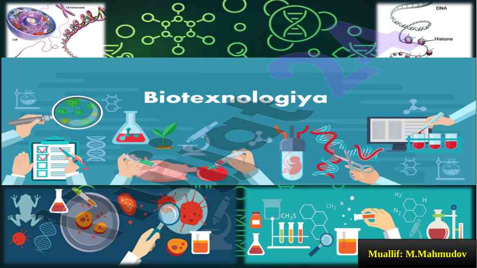 Biotexnologiya fanining predmeti va vazifalari