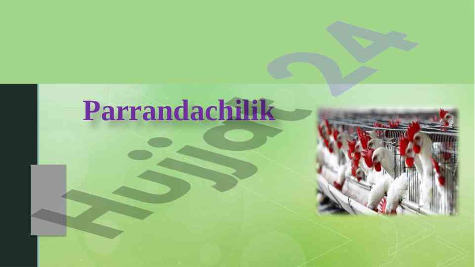 Parrandachilik