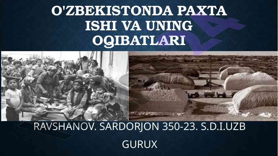 O'zbekistonda paxta ishi va o'nin oqibatlari