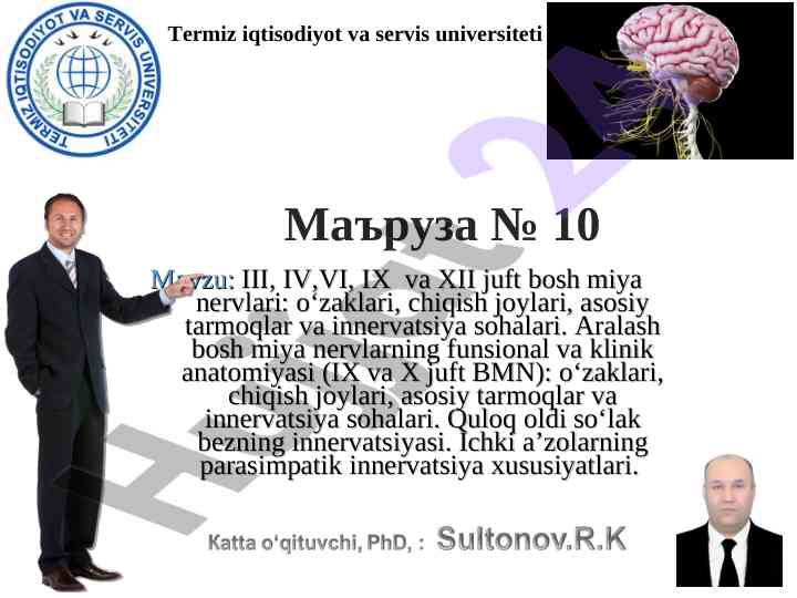 Anatomiyasi bosh miya nervlari innervatsiyasi