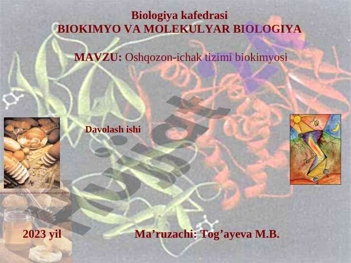 Oshqozon-ichak tizimi biokimyosi