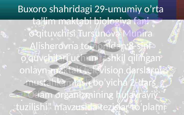 Odam organizmining hujayraviy tuzilishi mavzusidagi tezislar