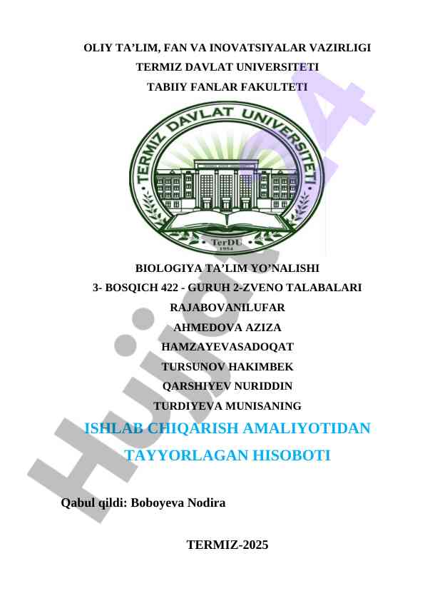 Ishlab chiqarish amaliyoti hisoboti 2025