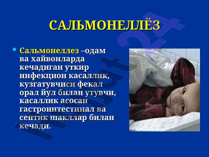 Salmonez sog‘ligi va epidemiyologiyasi haqida maqola