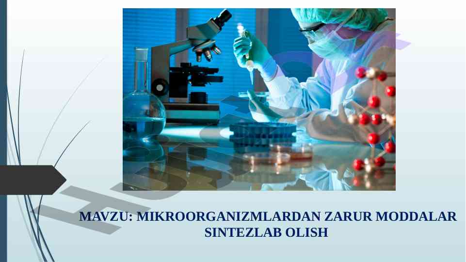 Mikroorganizmlar va ularning biologik ahamiyati