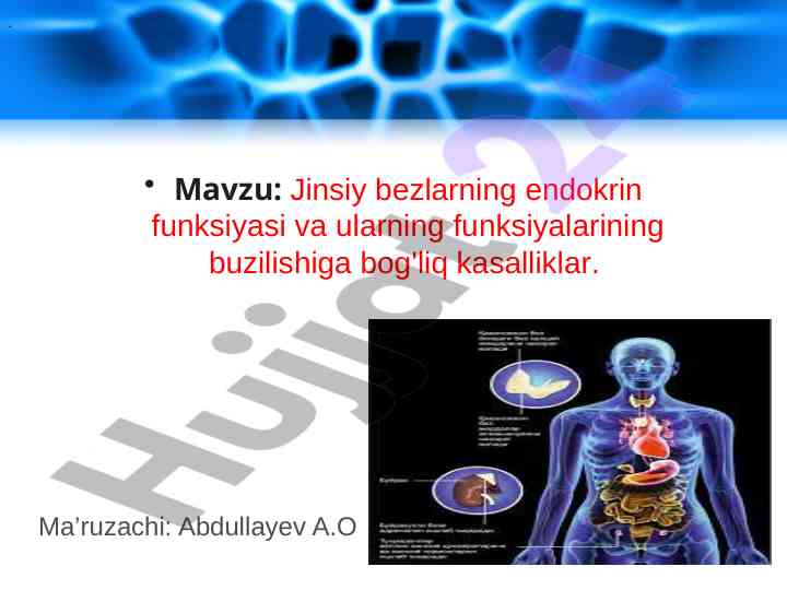 Jinsiy bezlarning endokrin funksiyasi bo'yicha ma'lumotlar