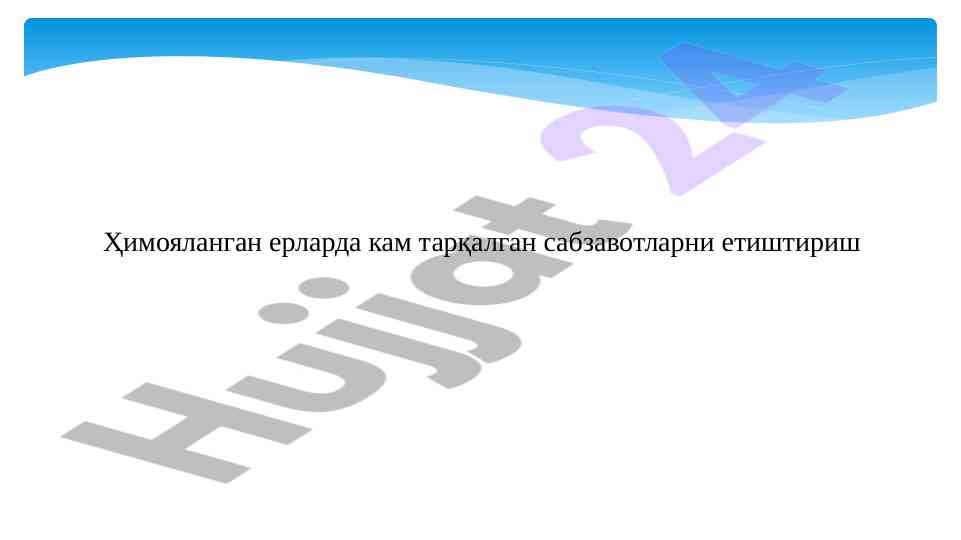 Замонавий иссиқхона комплексларини ривожлантириш лойиҳалари