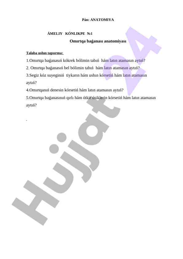 Anatomiya ameliy konlikpe tapsirmalari