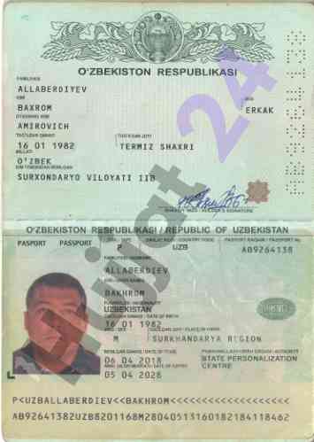 Uzbekistan passport information overview