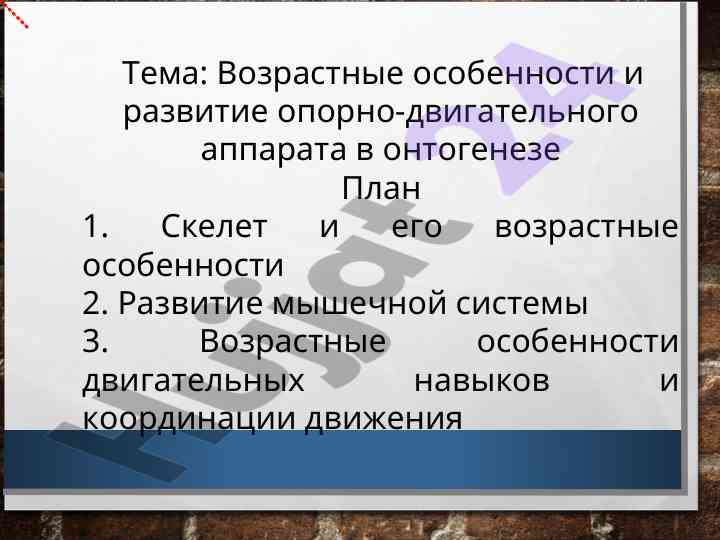 Возрастные особенности развития опорно-двигательного аппарата