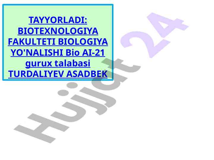 Spermatogenez jarayoni haqida malumot