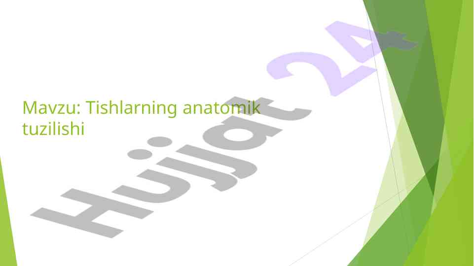 Tishlarning anatomik tuzilishi haqida ma'lumot