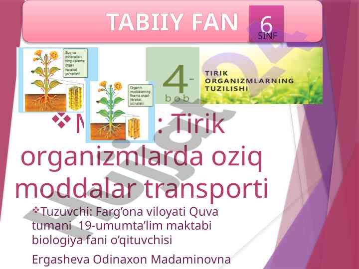Tirik organizmlarda oziq moddalar transporti