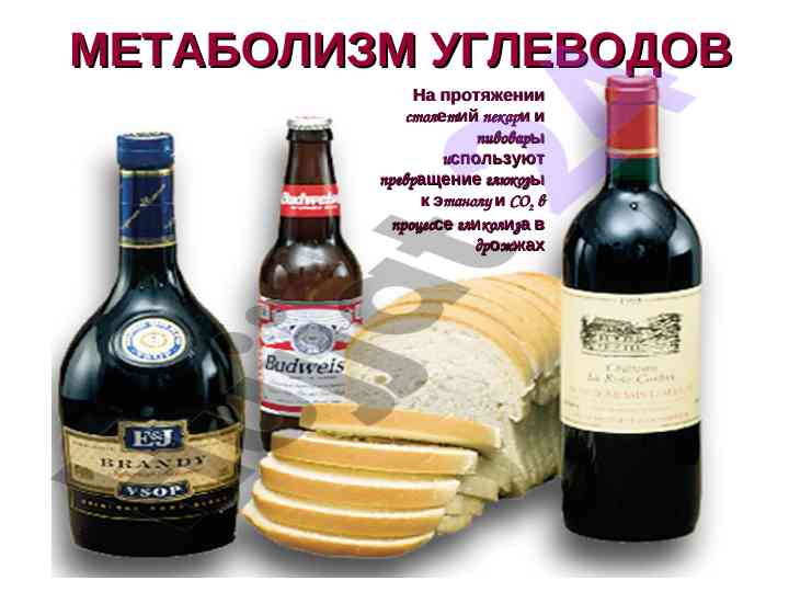 Metabolizm uglevodov glikoliz jarayonlari