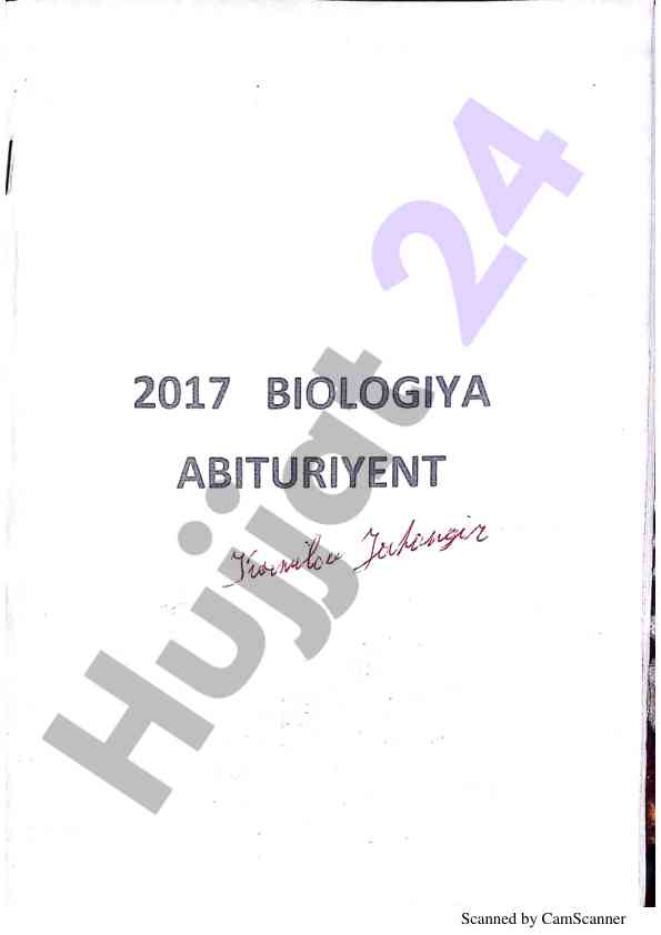 Scanned document analysis techniques