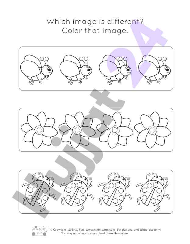 Different image identification activity
