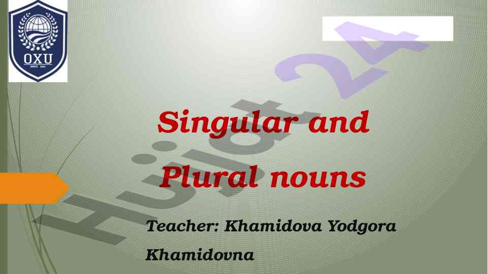Singular and plural nouns overview
