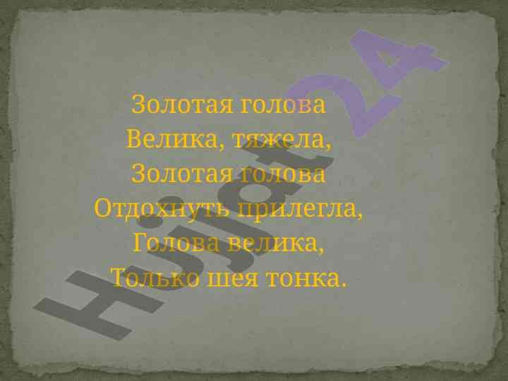 Исследование растения тыква: условия для роста