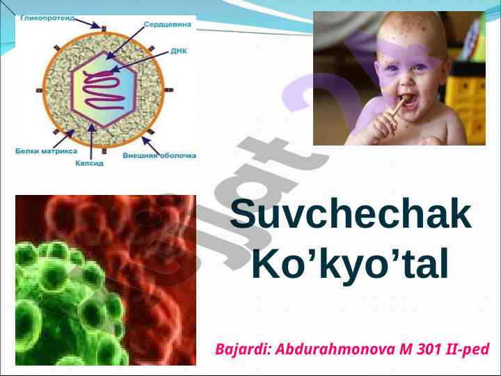 Suvchechak virusining tarixi va morfologiyasi